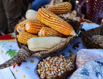 Itaú alista su Feria del Maíz y sus Derivados