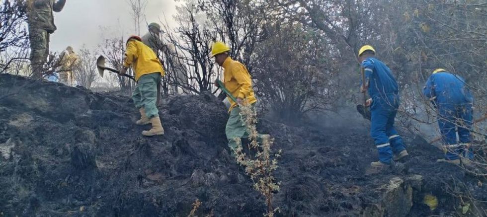 Bomberos sofocan 69 incendios forestales