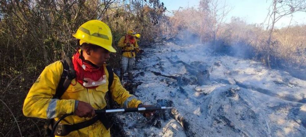 Activan 67 procesos por incendios