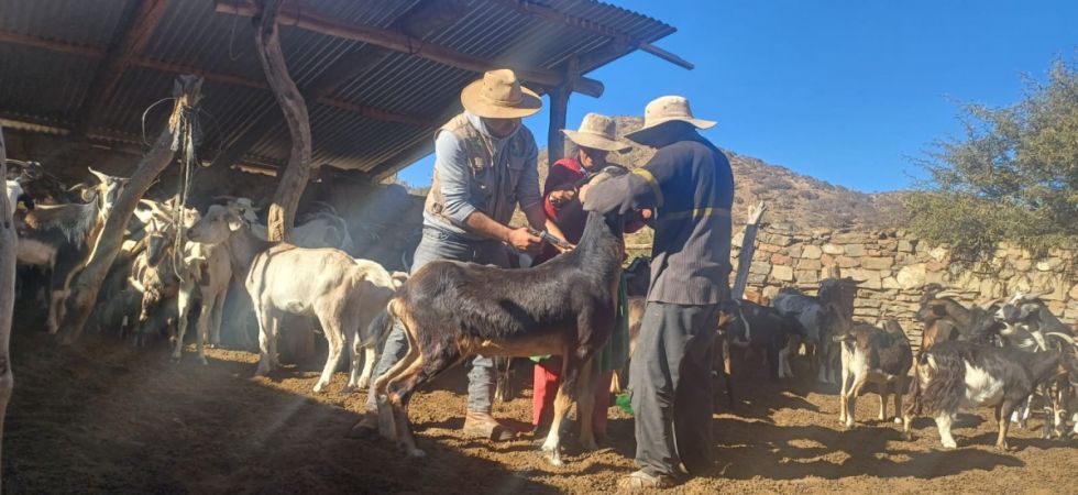 SEDAG concluye campañas sanitarias y realiza Feria Agropecuaria en Entre Ríos