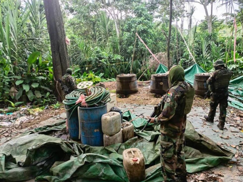 FELCN destruye 241 fábricas de droga en 45 días