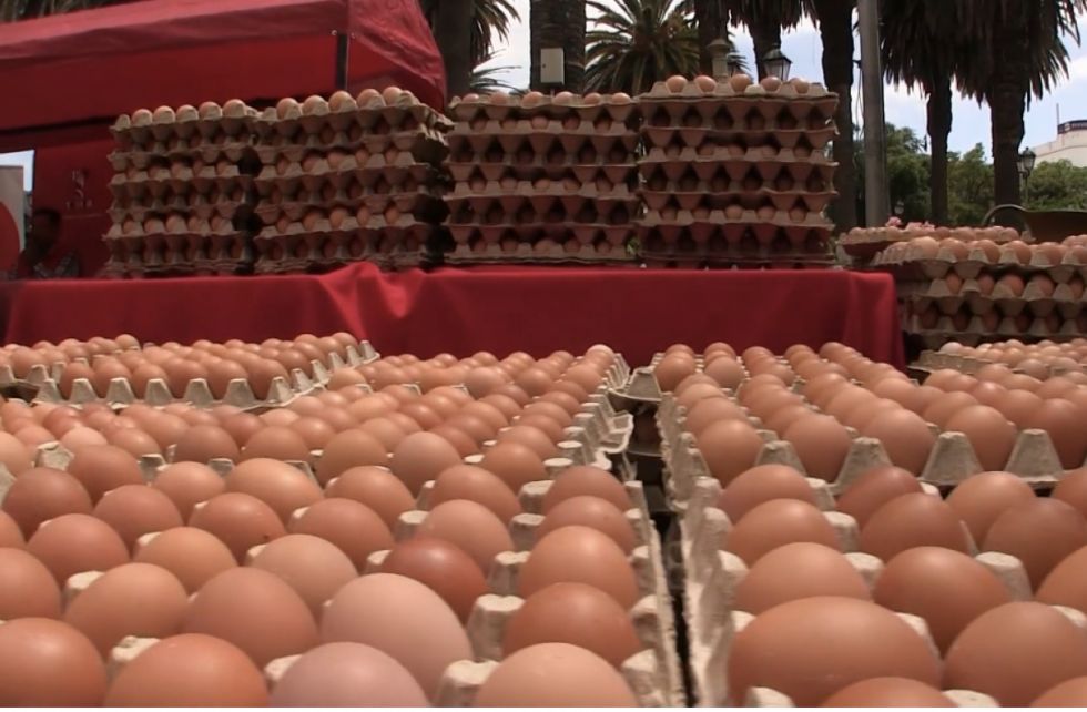 Avicultores tarijeños lanzan sello “Hecho en Tarija” para frenar el ingreso de huevos de dudosa procedencia