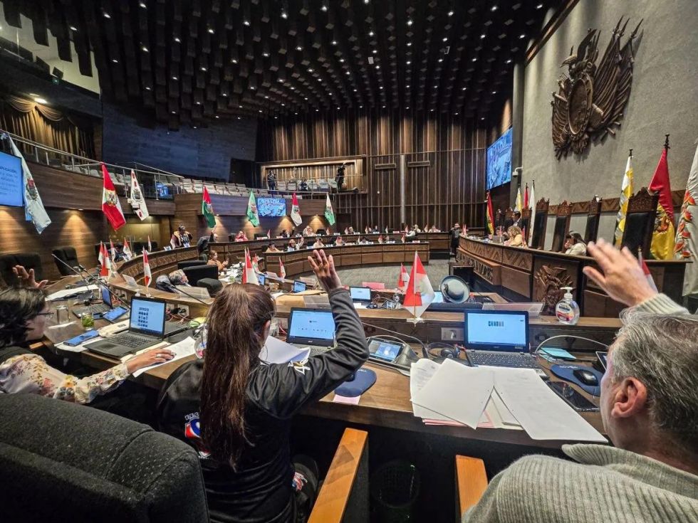 Senado aprueba ley para instituir el “Día del Hombre Boliviano”; el proyecto pasa a Diputados
