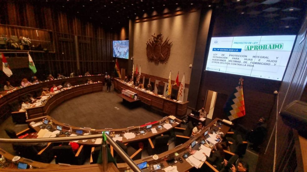 Sancionan ley que protege a huérfanos de feminicidio