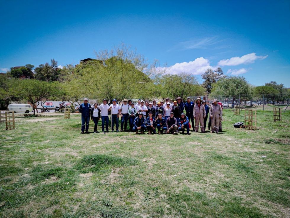 Más de 8.000 kilos de basura recolectados y 800 árboles plantados, los resultados de EcoLimpieza 