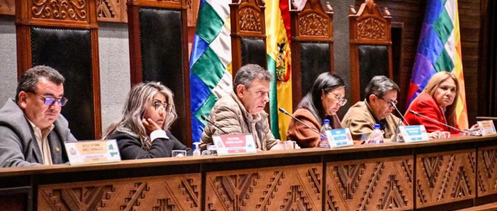 Senado: Estas son las 10 comisiones y los 20 comités para la legislatura 2025-2026