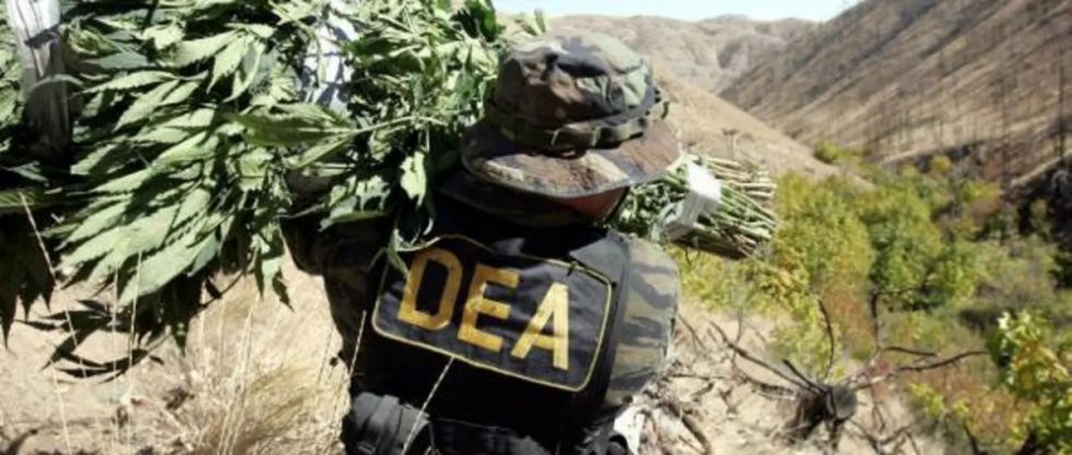 Lluta: El único que le tiene miedo a la DEA es Evo