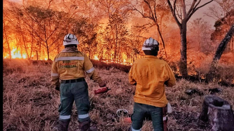 Gobierno impulsará la anulación de las leyes “incendiarias”