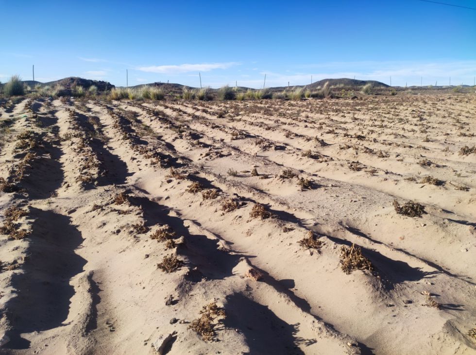 Intervienen el INRA tras resoluciones irregulares