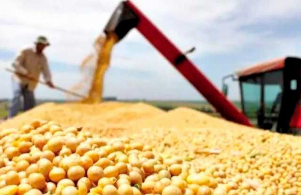 Anapo espera la liberación de exportaciones