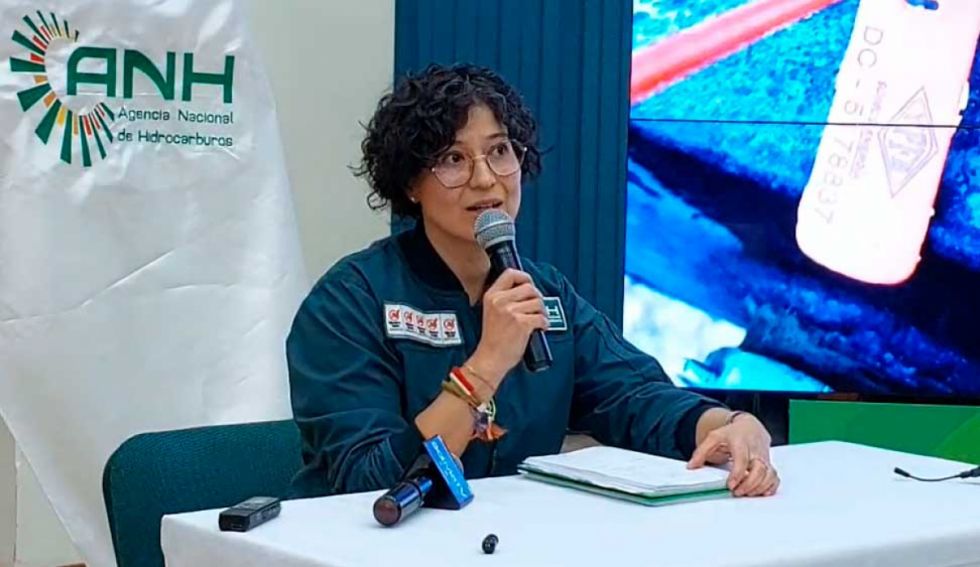 Directora de la ANH responde a las críticas