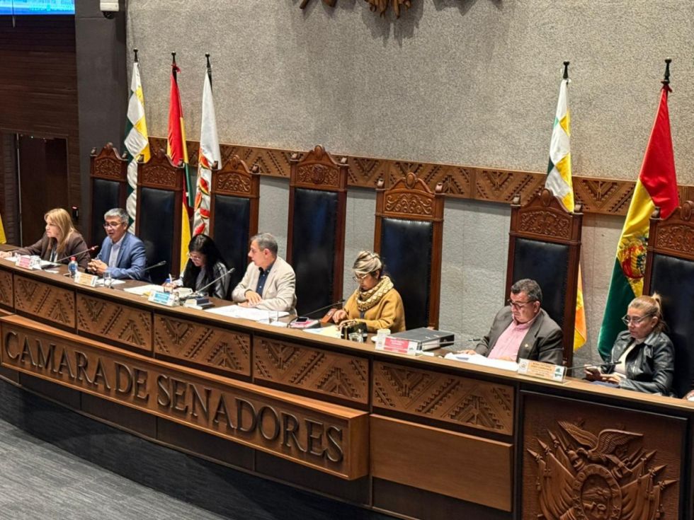 La Cámara de Senadores rechaza el PGE 2026