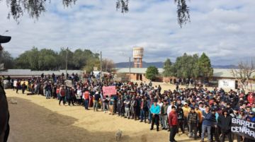 Defensoría insta al Órgano Judicial a agilizar trámites de indulto