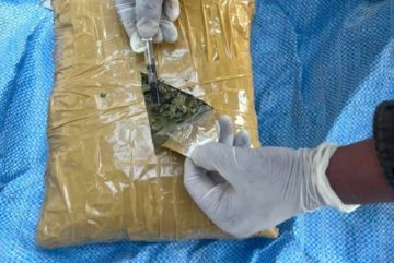 Caen dos pasajeros llevando 163 kilos de marihuana