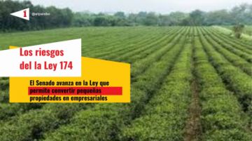 Advierten riesgos en ley que permite convertir pequeñas propiedades agrarias en medianas o empresariales