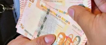 Gobierno: 89.336 familias recibieron el bono PEPE