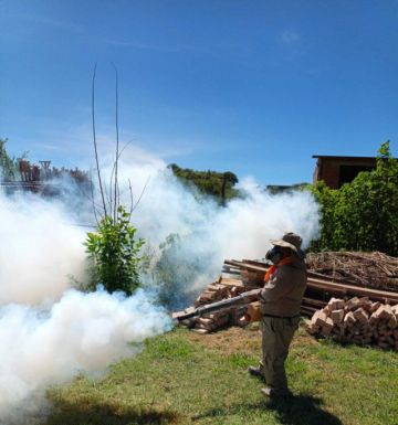 Sedes intensifica campañas de limpieza ante incremento de casos de chikungunya en el departamento