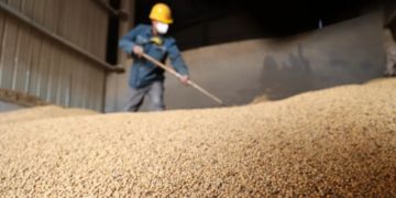 Suman voces contra el arancel cero para el ingreso de soya