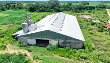 Empresa estatal agropecuaria perdió Bs 101 MM