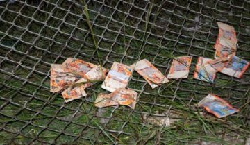 Banco Central de Bolivia inhabilita billetes de Bs 10, Bs 20 y Bs 50 de la Serie B tras siniestro en El Alto