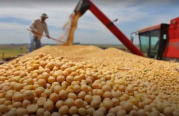 Gobierno abroga decreto que permitía importar soya con arancel cero