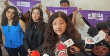 Ley Brisa, la iniciativa que busca fortalecer el acceso a la justicia para víctimas de violencia sexual