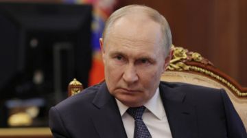 Putin: "Kiev pierde territorios y apuesta por terrorismo"