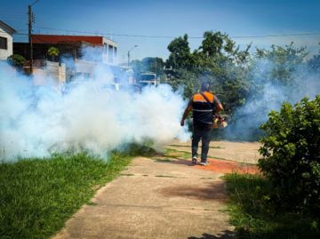 Chikunguña: reportan 35 muertes en Santa Cruz