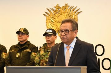 Gobierno conforma equipo internacional para investigar hallazgo de droga en madera