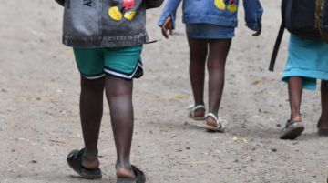 Chile investiga presunto tráfico de niños haitianos