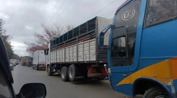 Falta de diésel genera filas en Tarija, YPFB  dice que normalizará el suministro en los siguientes días 