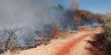 Incendios en El Portillo y Quirusilla movilizan a Bomberos y grupos voluntarios 