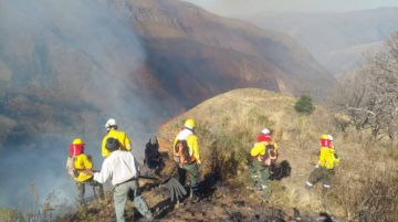 Tarija: Incendio en Quirusillas moviliza a equipos de emergencia