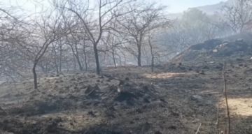 Bomberos y voluntarios siguen combatiendo el incendio en Quirusillas