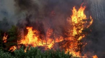 Canadá en emergencia por más de 200 incendios