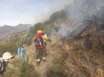 Fuego arrasa 5.000 hectáreas y reabre debate sobre leyes incendiarias