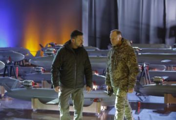 Ucrania: destituyen al comandante en jefe del Ejército