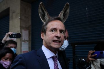 Comercialización de carne de burro prende alarmas en Escudito de las Américas