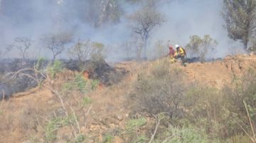 Proponen el uso de drones térmicos y torres de vigilancia para una respuesta inmediata a incendios