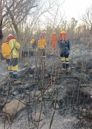 Bomberos denuncian falsas alertas de incendio