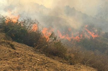 Incendios: Gobierno estudia alquilar helicópteros