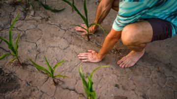 ONU alerta a América Latina por un El Niño severo