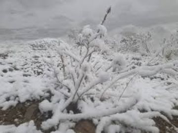 Alerta naranja por nieve en cinco departamentos incluye a Tarija