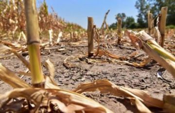 Proponen crear fondo para emergencias climáticas