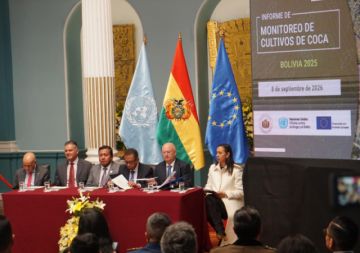 36.400 hectáreas de coca: ¿qué significa para Bolivia?