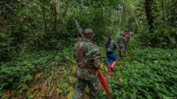 América Latina, la región más letal para los ambientalistas