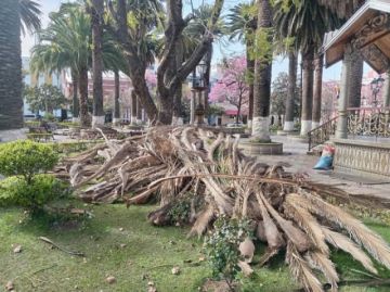 Alertan por vientos fuertes hasta el jueves en Tarija