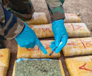 FELCN incauta 1,9 toneladas de marihuana en seis días