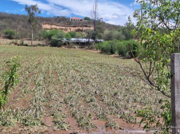 Evalúan daños tras intensa granizada en Chocloca 