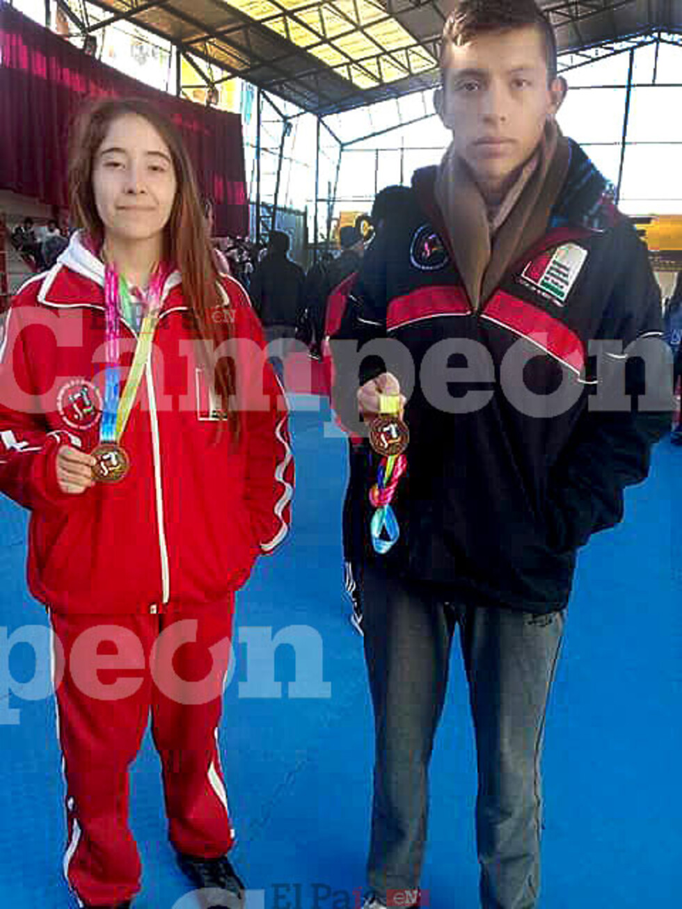 Taekwondo cosecha medallas